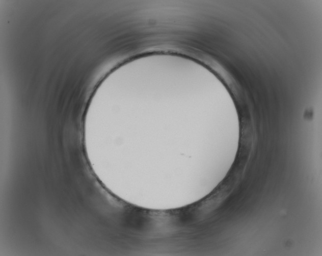 X0000092310807200709281345