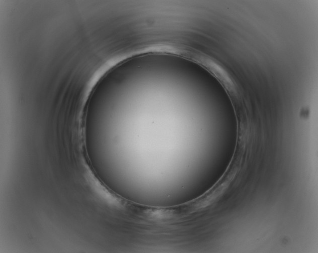 X0000092310808200709281345