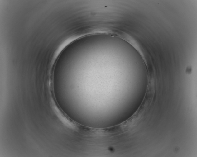 X0000092310811200709281345
