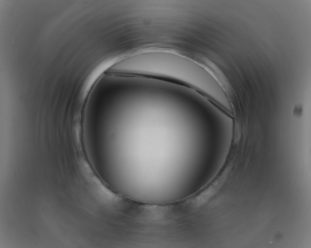 X0000092310812200709281345
