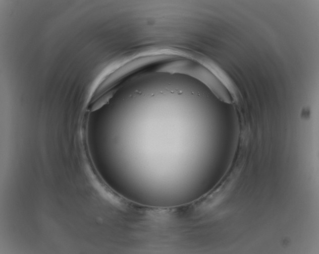 X0000092310813200709281345