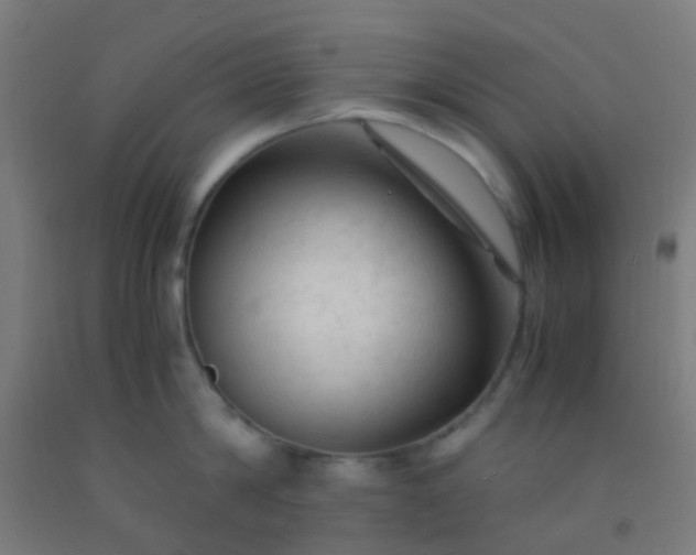 X0000092310814200709281345