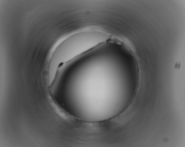 X0000092310816200709281345