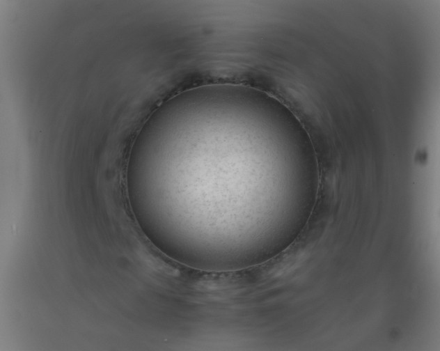 X0000092310817200709281344