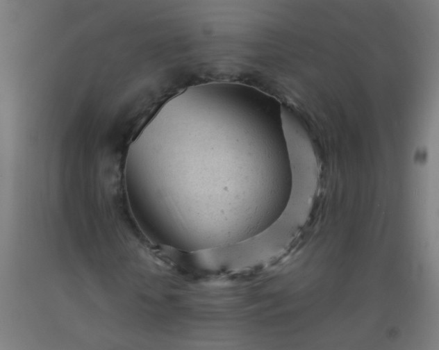 X0000092310818200709281344