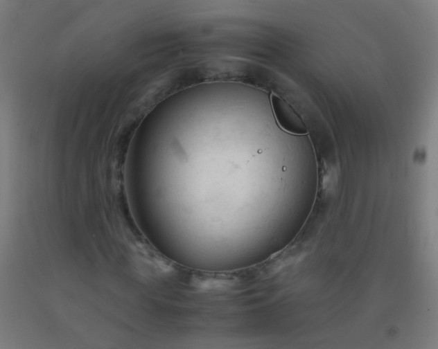X0000092310819200709281344