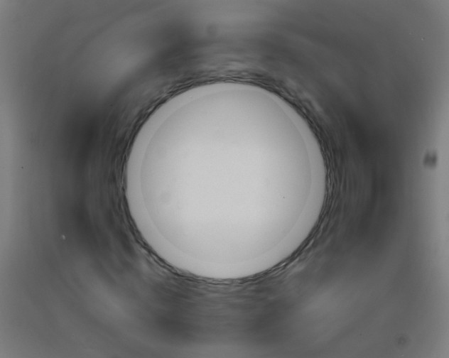 X0000092310820200709281344