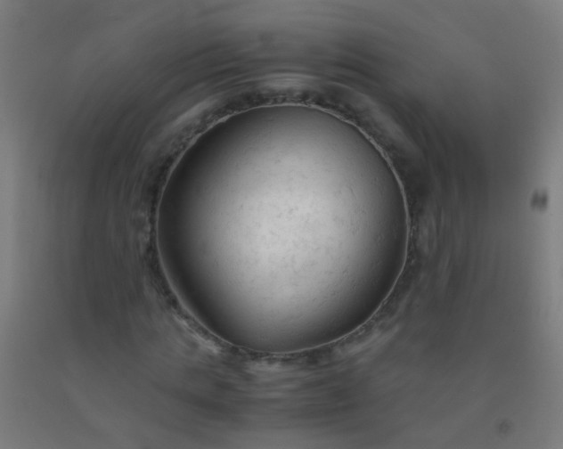 X0000092310821200709281344