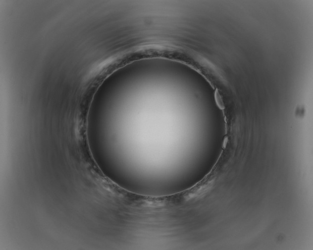 X0000092310822200709281344