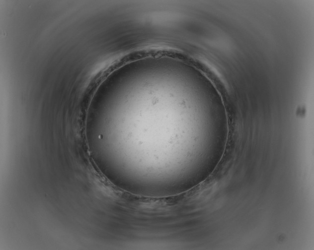 X0000092310823200709281344