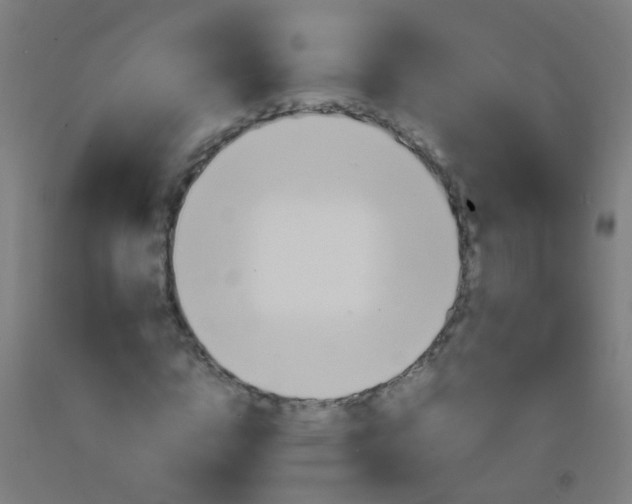 X0000092310824200709281344