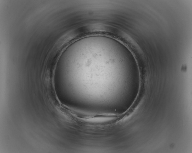 X0000092310825200709281344