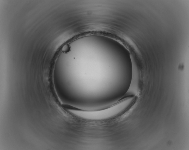 X0000092310826200709281344