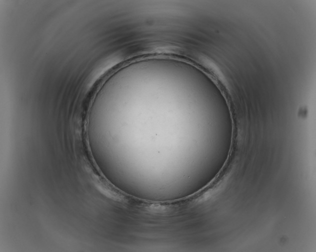 X0000092310827200709281344