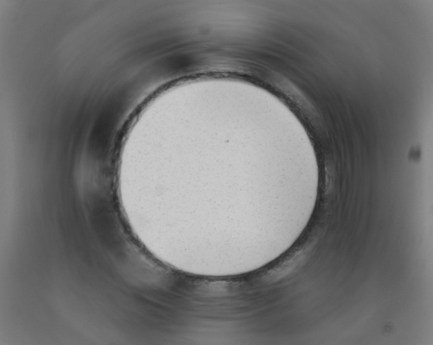 X0000092310828200709281344