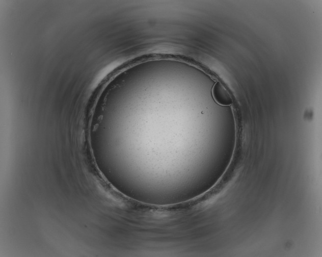 X0000092310829200709281344
