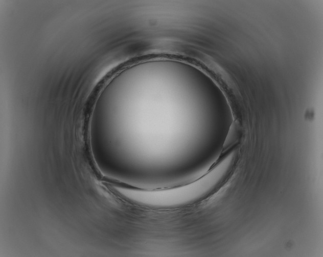 X0000092310830200709281344