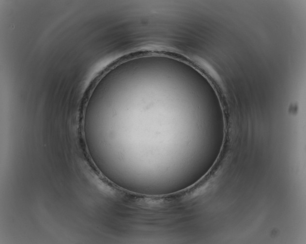 X0000092310831200709281344