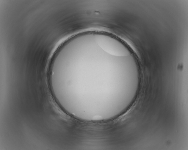 X0000092310832200709281344