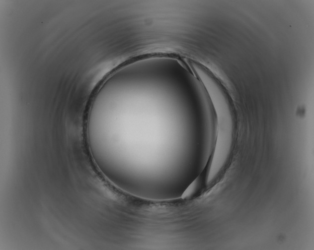 X0000092310834200709281345