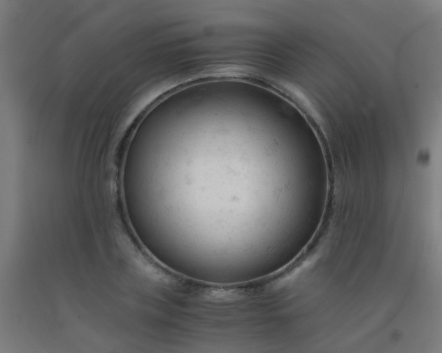 X0000092310835200709281345