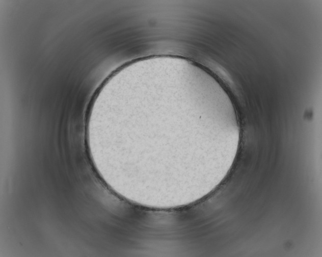 X0000092310836200709281345