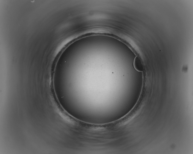 X0000092310837200709281345