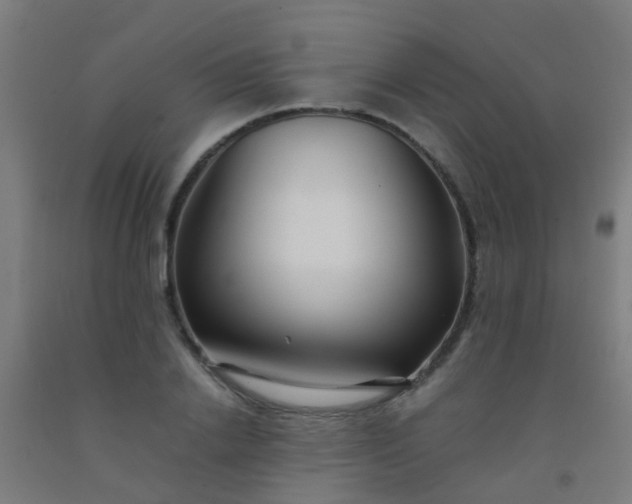 X0000092310838200709281345