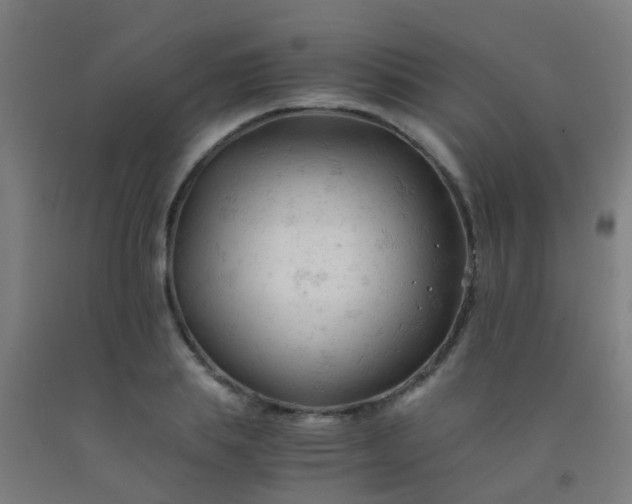 X0000092310839200709281345