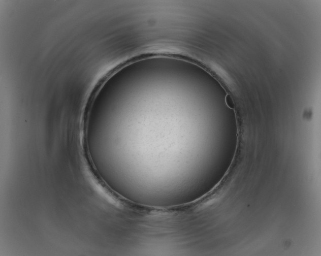 X0000092310840200709281345