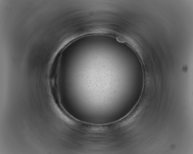 X0000092310843200709281345