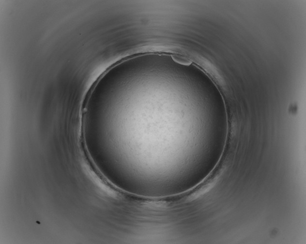 X0000092310844200709281345