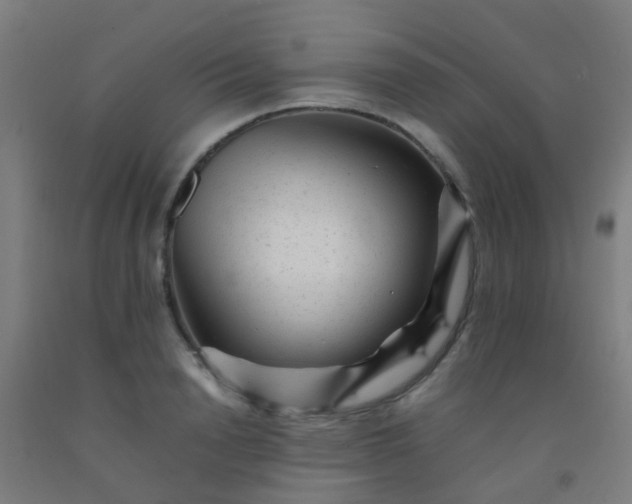 X0000092310846200709281345