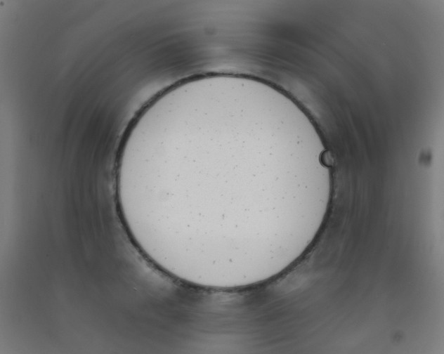 X0000092310848200709281345