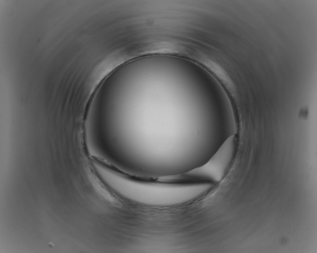 X0000092310850200709281345