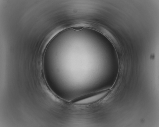 X0000092310852200709281345