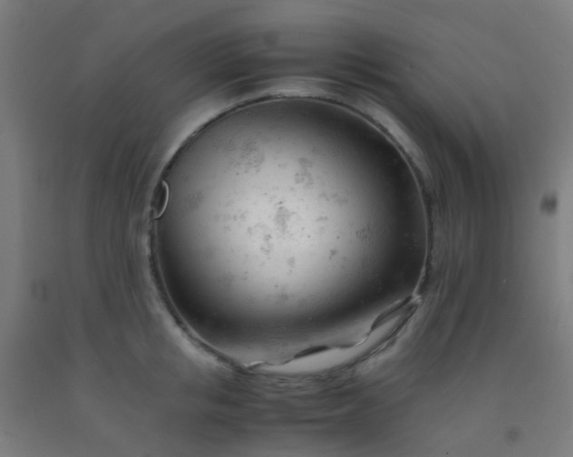 X0000092310853200709281345