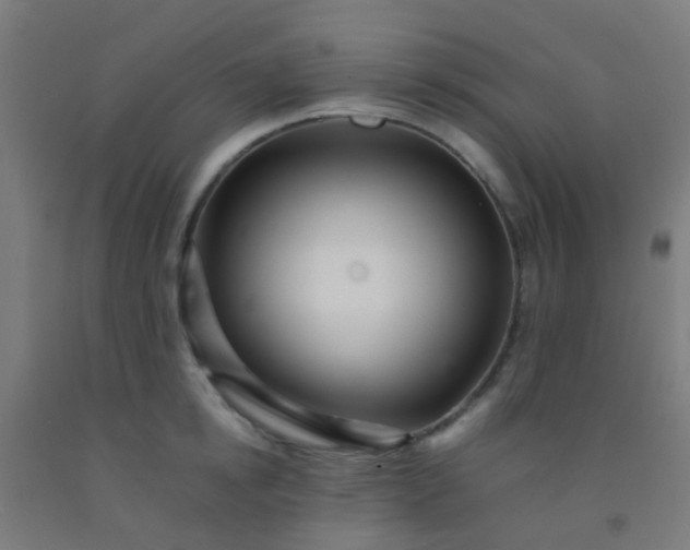 X0000092310854200709281345