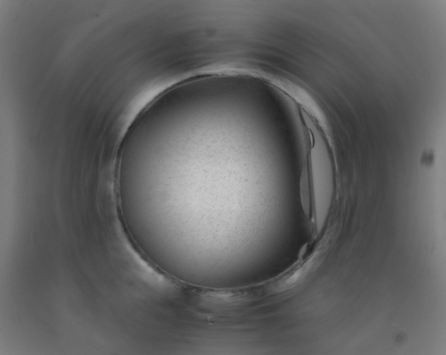 X0000092310855200709281345