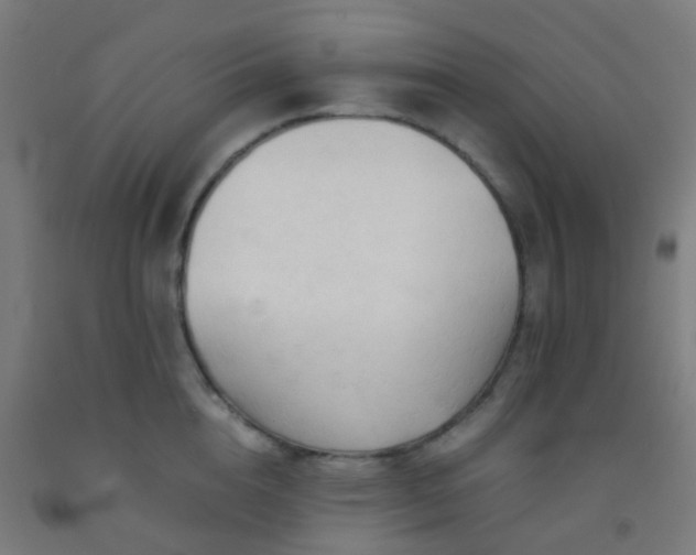 X0000092310856200709281345