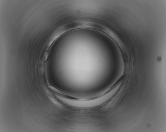 X0000092310858200709281345