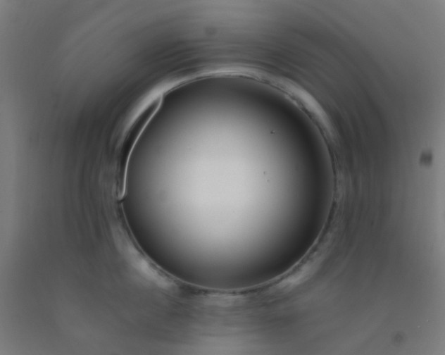 X0000092310860200709281345