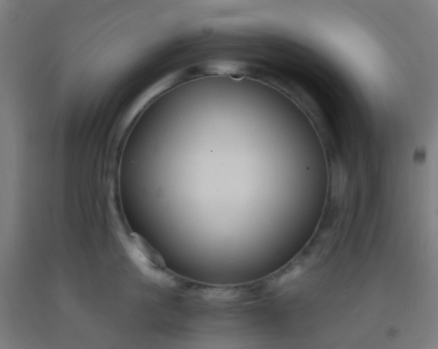 X0000092310861200709281345