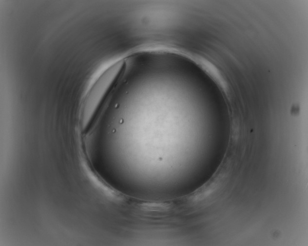 X0000092310863200709281345