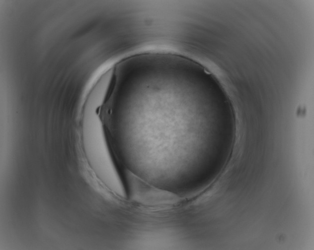 X0000092310864200709281345