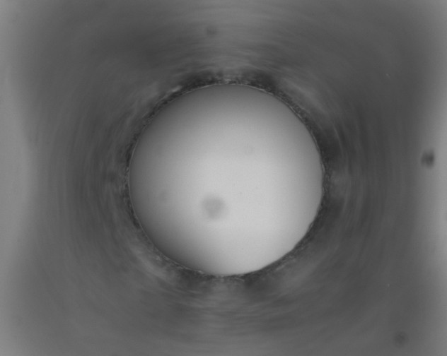 X0000092310865200709281344