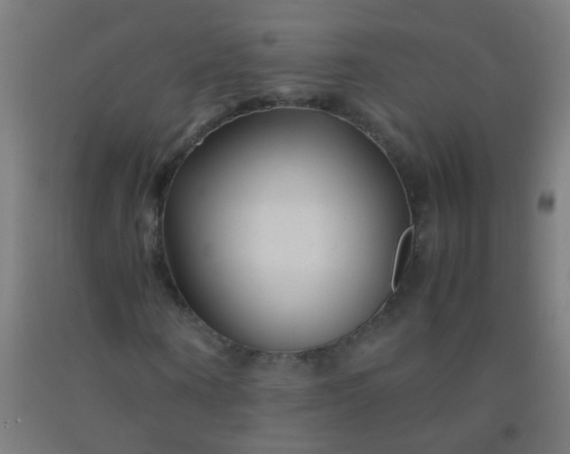 X0000092310866200709281344
