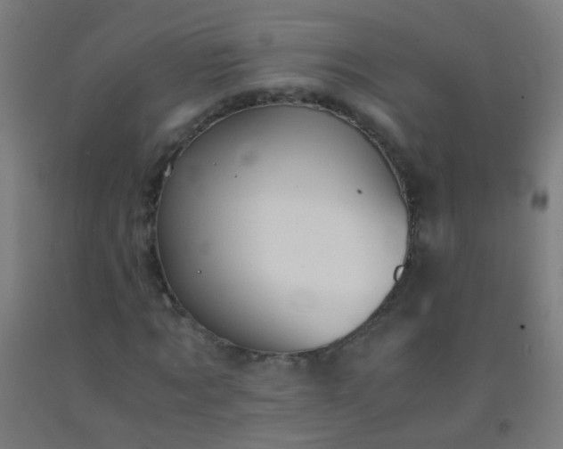 X0000092310869200709281344