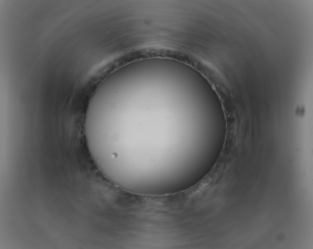 X0000092310870200709281344