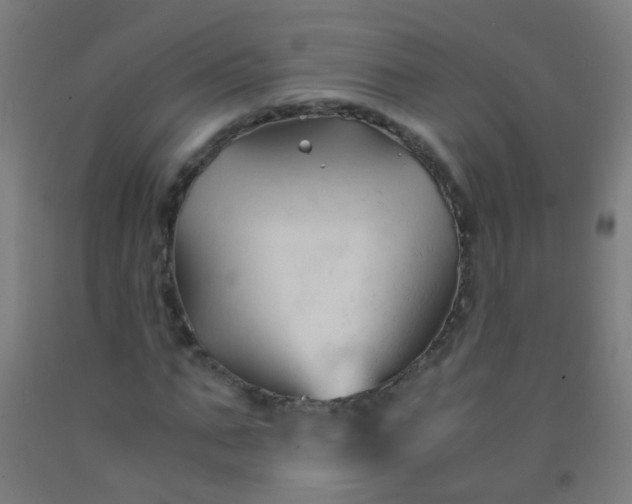 X0000092310871200709281344